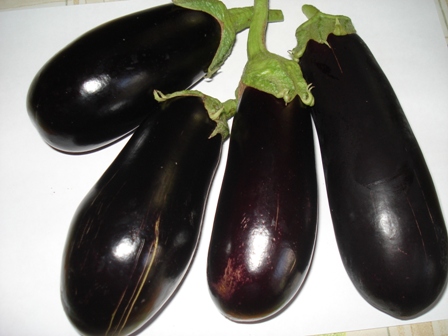 ,   (Solanum melongena) 